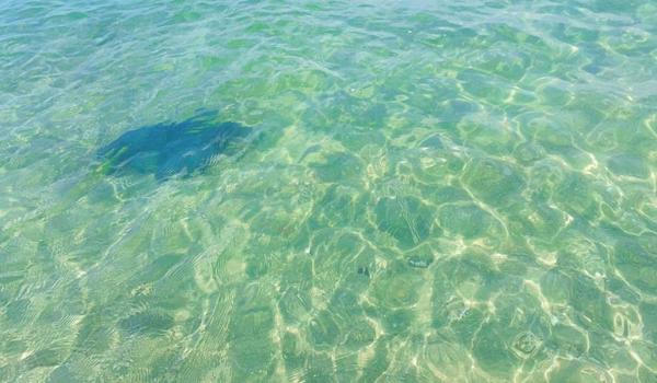 三角洲行动手游官网下载资格(给我《三角洲行动》手游的下载链接) 三角洲行动手游官网下载资格(给我《三角洲行动》手游的下载链接)