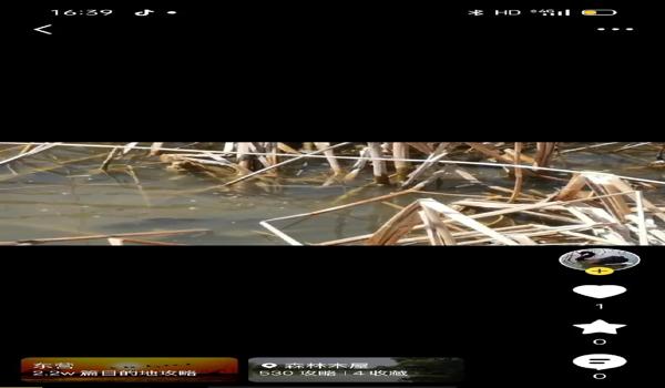 三角洲行动一键下载(给我一个三角洲行动的一键下载链接) 三角洲行动一键下载(给我一个三角洲行动的一键下载链接)