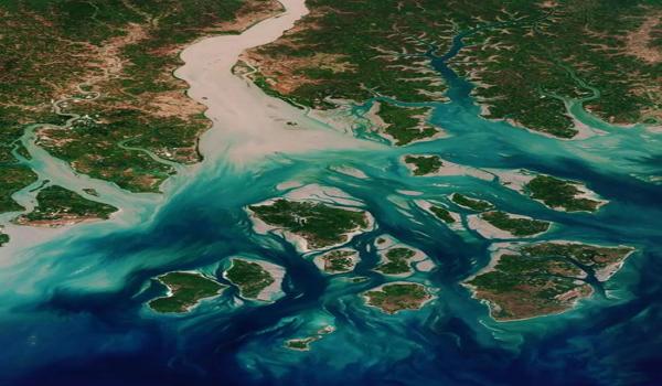 三角洲官方跟科技合作（三角洲官方是不是默许了科技的存在？）